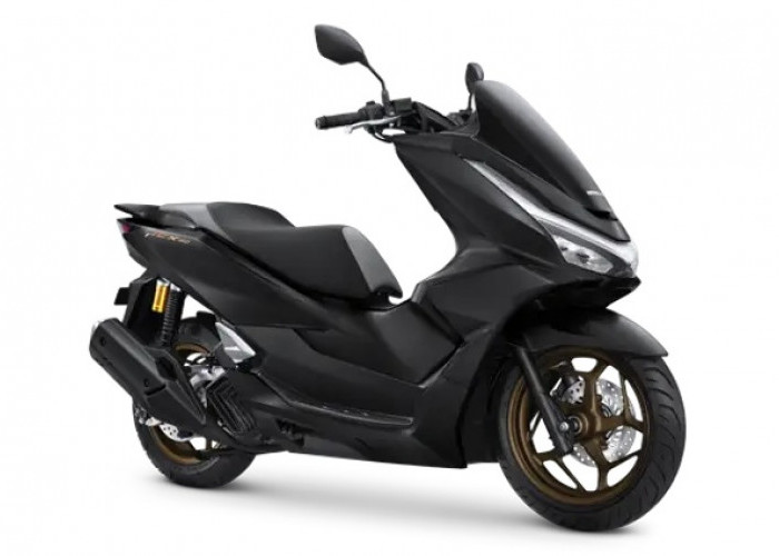 Ini Sederet Fitur yang Membuat Honda PCX 160 Nyaman untuk Touring