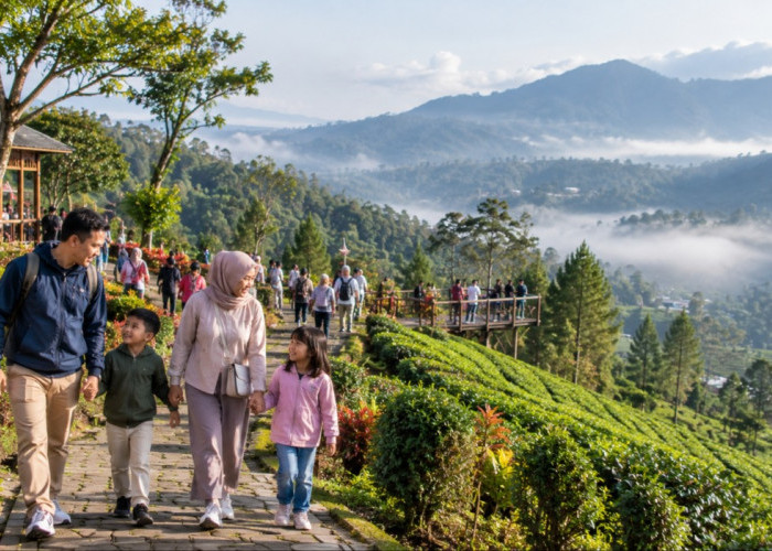 Wisata Brebes untuk Liburan Keluarga, Ada Pilihan Selain Pantai?