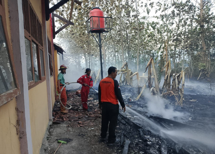 Lima Ruangan Rusak, Kebakaran SMAN 1 Bantarkawung Brebes Berawal dari Lahan Kering