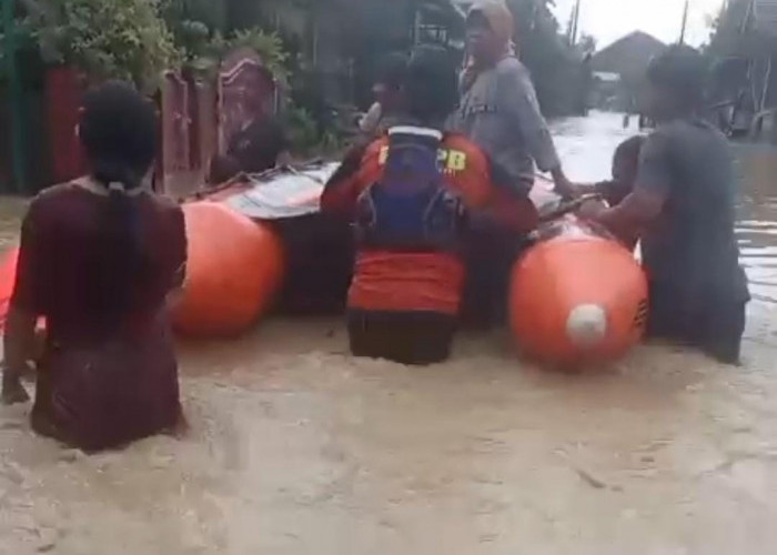 Suradadi Tegal Banjir Parah! 2.300 Rumah di 3 Desa Terendam Luapan 2 Sungai