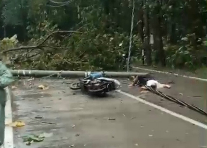 Angin Kencang Robohkan Pohon dan Tiang Listrik di Pemalang, Warga Kesetrum dan Tertimpa Tiang Listrik