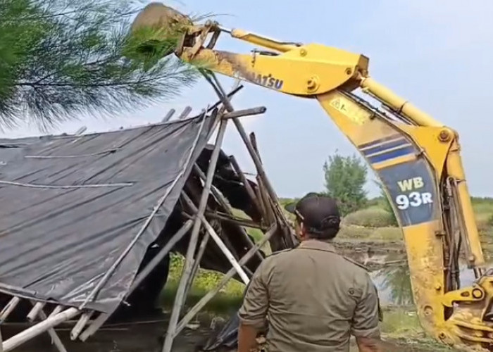 4 Pasangan Diamankan Satpol PP dari dalam Gubuk Mesum di Pantai Randusanga Brebes