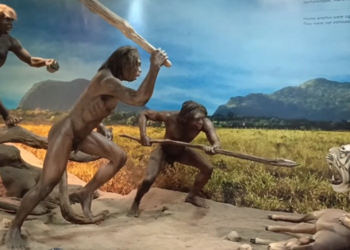 3 Museum Arkeologi di Jawa Tengah, Lengkap dan Unik