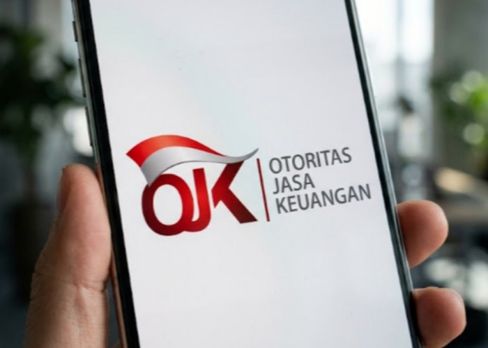 Biar Gak Ketipu Aplikasi Bodong! Begini Cara Cek Legalitas Aplikasi Pinjol di OJK