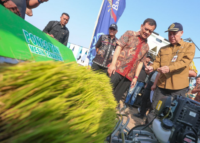 Produksi Padi Jateng Capai 6,69 Juta Ton, Target 10,5 Juta Ton