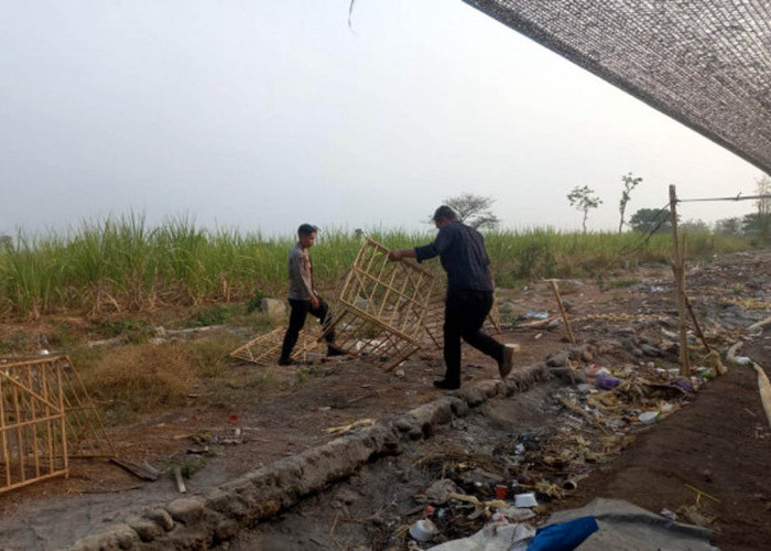 Arena Judi Sabung Ayam di Pagerbarang Tegal Sepi Saat Digerebek, Polisi Bakar Sarana Prasarana di TKP