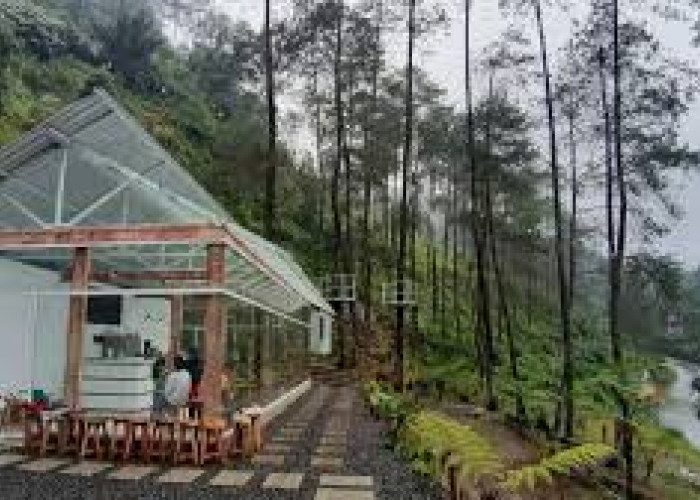Eksplorasi Cafe Terbaru 2024 di Tegal dengan View Alam, Instagramable Abis Bikin Nongkrong Makin Berkesan