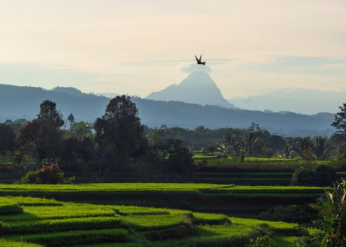 5 Wisata Bukit Memukau di Jawa Tengah dengan Fasilitas Modern