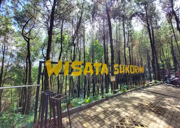 Pesona Wisata Alam Semarang, 20 Tempat Favorit Wisatawan Lokal yang Bisa Anda Kunjungi