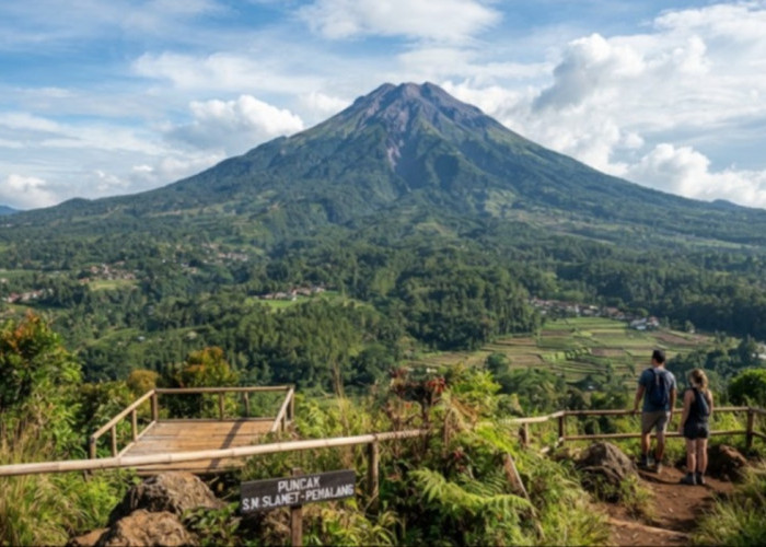 5 Wisata Alam di Pemalang yang Paling Populer: Panorama Gunung Slamet & Hutan Pinus Sejuk!