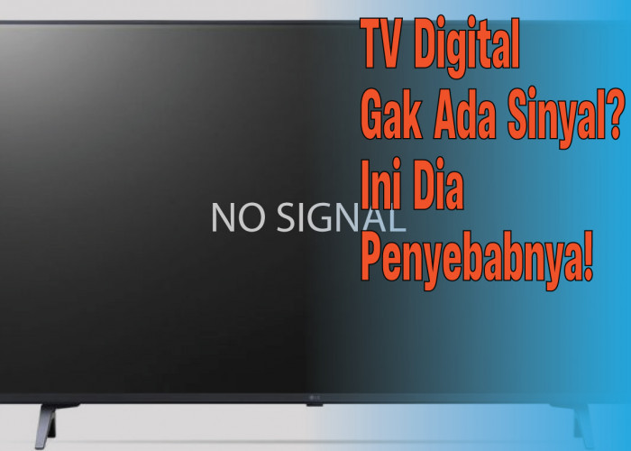 Penyebab TV Digital Tidak Ada Sinyal yang Bikin Kesal, Cara Mengatasinya Ternyata Mudah