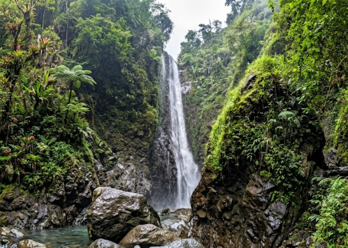 Bikin Betah, Ini 8 Wisata Alam di Tegal dengan Pemandangan Terbaik