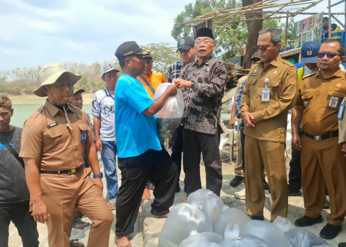 Jaga Pelestarian Ekosistem Perikanan, DPRD Brebes Tebar Benih Ikan 