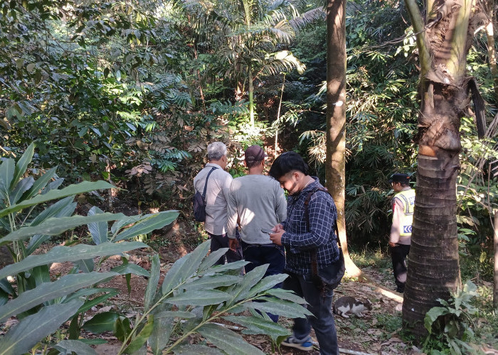 Lansia di Brebes Hilang, Tim Gabungan Sisir Hutan dan Sungai