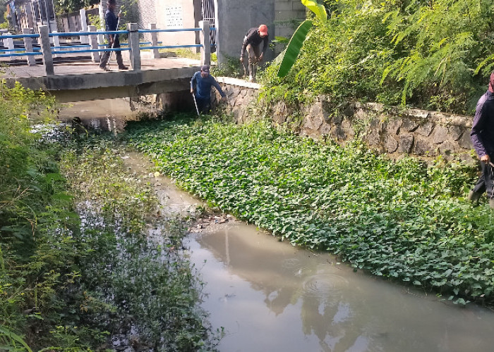 Cegah Banjir di Brebes, DPU Normalisasi Saluran Drainase 