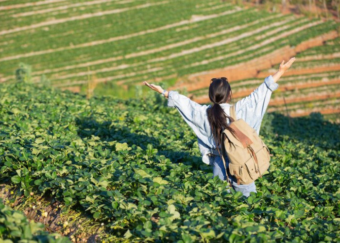 4 Agrowisata Terbaik di Tegal dengan Banyak Aktivitas Menarik