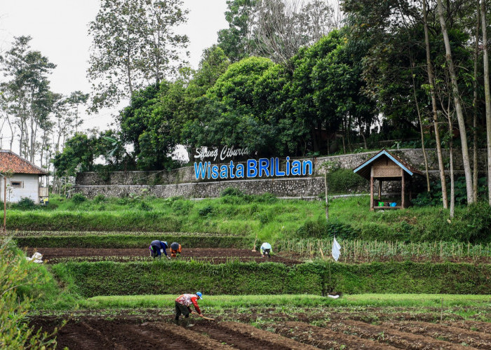 Jangkau 5.245 Desa BRILiaN, BRI Perluas Dukungan bagi Pengembangan Ekonomi Desa