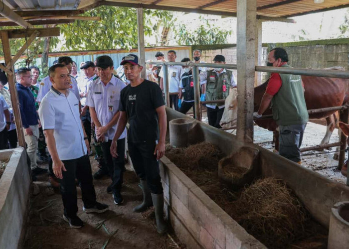 Gubernur Jateng Instruksikan Layanan Healing Diintensifkan Jelang Idul Adha