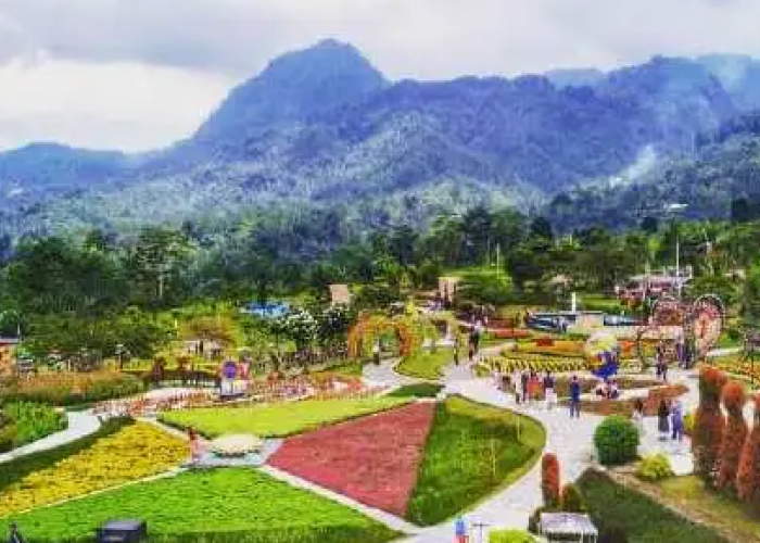 6 Tempat Outbound di Purwokerto yang Cocok buat Study Tour dan Family Gathering