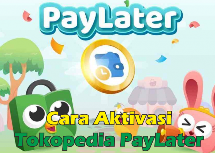 Cara Aktivasi Tokopedia PayLater Terbaru, Belanja Akhir Tahun Murah Meriah Pakai Promo KESAMBER 12.12
