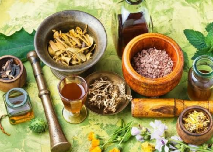 5 Tanaman Terapi Herbal untuk Meredakan Nyeri Sendi, Ampuh dan Minim Efek Samping