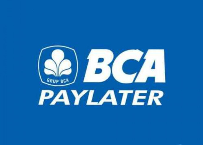 Cara Pengajuan BCA Paylater, 1x24 Jam Langsung Disetujui dan Bisa Menikmati Keuntungan
