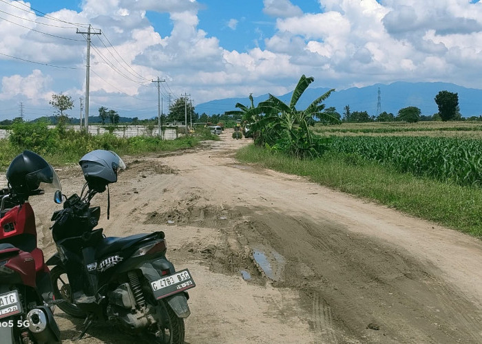 Keluhkan Jalan yang Rusak di Brebes, Pekerja Desak Pemkab Segera Bertindak