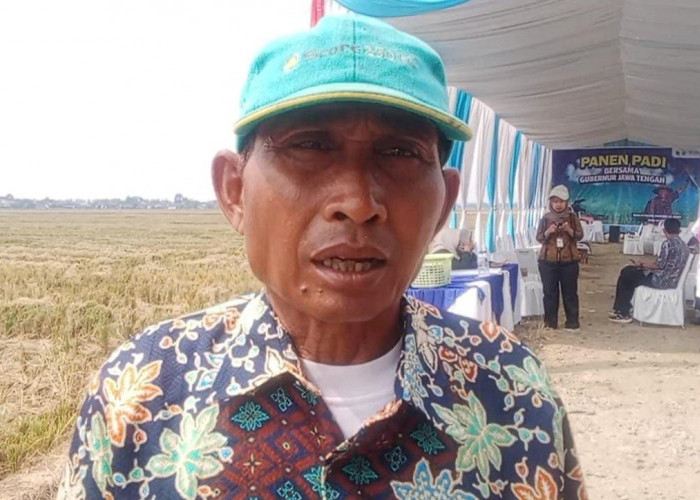 curhatan petani Pemalang ke Gubernur Dibalik Sukacita Panen Raya