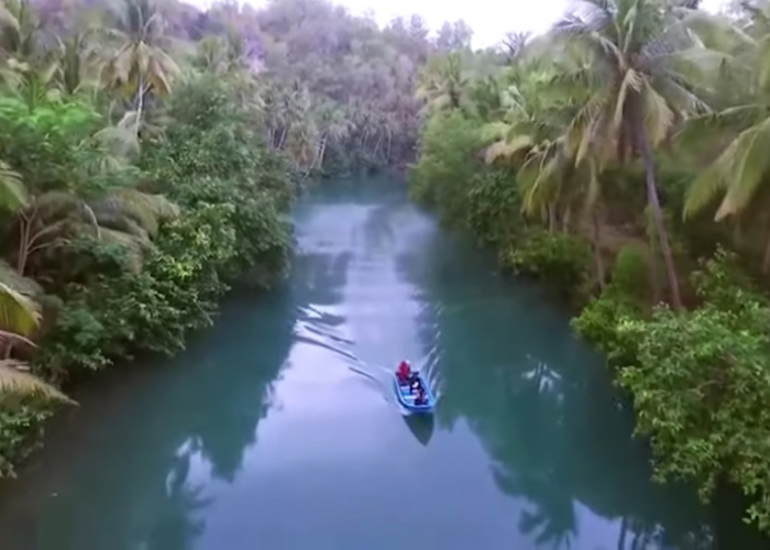Ada Amazon di Indonesia? Ini Sungai Maron yang Indahnya Memanjakan Mata