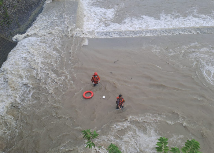 Bantu Tim SAR Angkat Jenazah Mertua, Pria di Tegal Hanyut Terbawa Arus Sungai