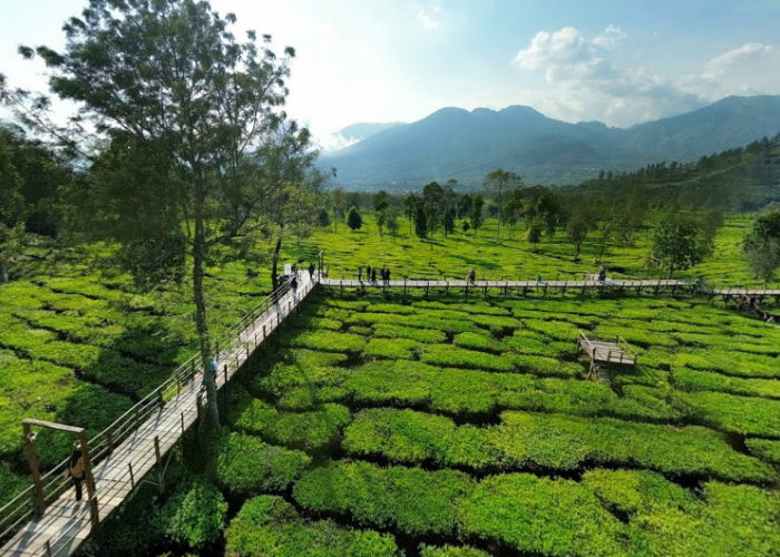 8 Wisata Eksotis Jawa Tengah dengan Tiket Murah, Liburan Hemat Rasa Mewah