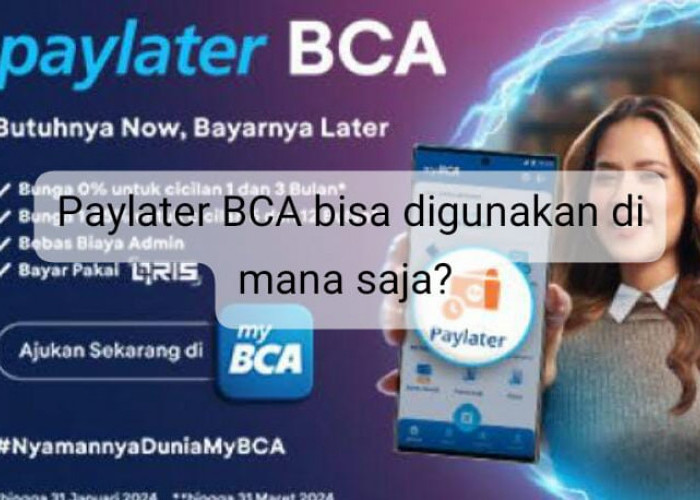 Paylater BCA Dapat Digunakan Dimana Saja? Begini Penjelasannya