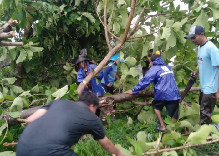 Hujan Disertai Angin Kecang di Brebes, Rusak 9 Rumah di Satu Desa