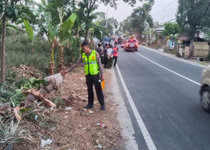 Kecelakaan Lalu Lintas Desa Beluk Pemalang: Kronologi Pick Up Terguling Dihantam Truk
