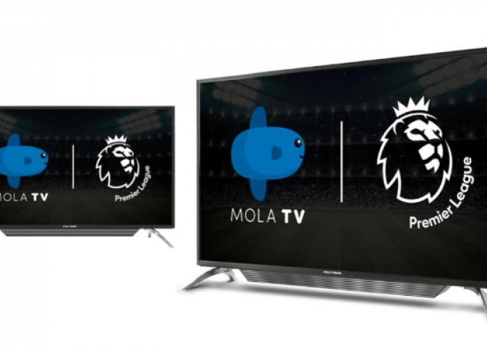 Spesifikasi Mola Smart TV LED POLYTRON Layar 43 Inch PLD-43AS1558 Harga 4 Jutaan, Begini Kelebihannya