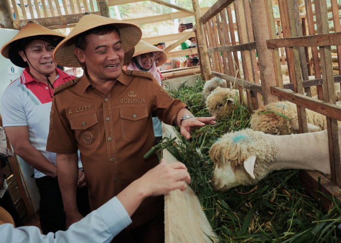 Lahan Tidur Belasan Tahun Disulap Jadi Area Farming Produktif Lewat Program Revola Jateng