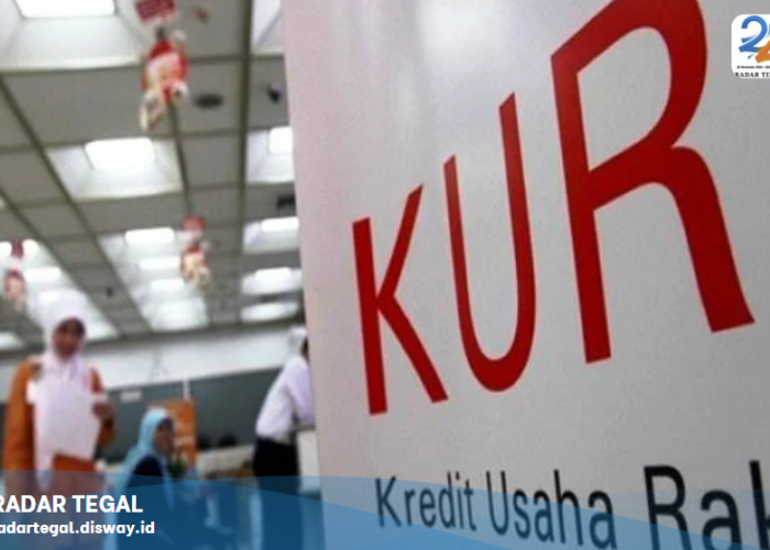 Dapat Subsidi Bunga Rp100 Juta! 3 Bank dengan Program KUR Tanpa Agunan yang Mudah Disetujui