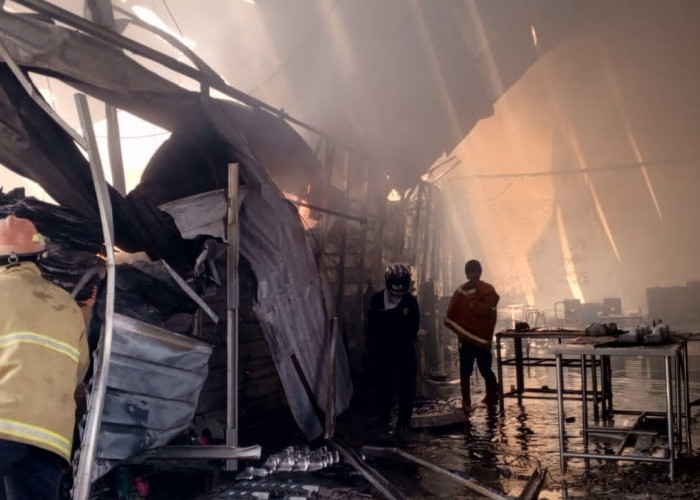 Update Kebakaran di Tanjung Brebes, Kasatpol PP: Dua Titik Api Sudah Padam