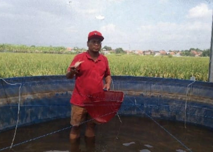 Budidaya Ikan di Aliran Sungai Gung, Pemuda Kabupaten Tegal Kini Kembangkan Sistem Bioflok