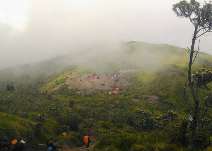 Eksplorasi Alam Pegunungan Merbabu, Pesona Gunung dan Destinasi Sekitarnya yang Menakjubkan