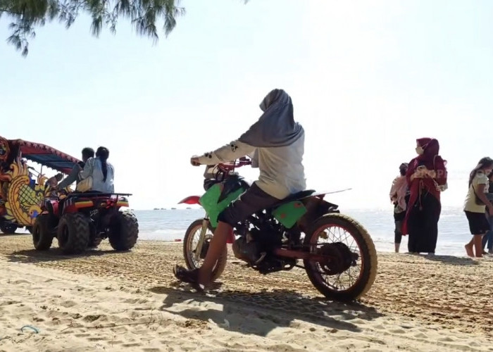 Pantai Karang Jahe Rembang: Surga Tersembunyi dengan Hutan Cemara yang Bikin Betah
