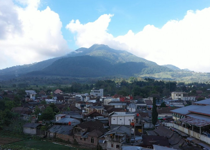 Inilah Desa BRILian Sumowono yang Tumbuh dan Terus Berinovasi Bersama BRI 