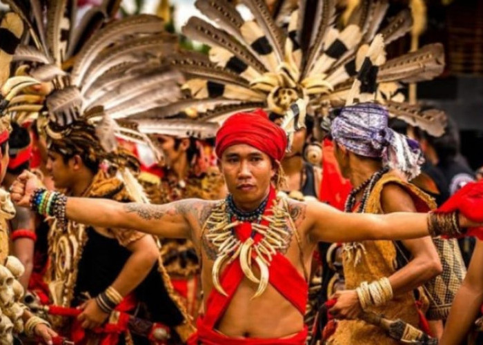 Mengenal Suku Dayak Kalimantan, Belanda Menyebutnya sebagai Pasukan Hantu