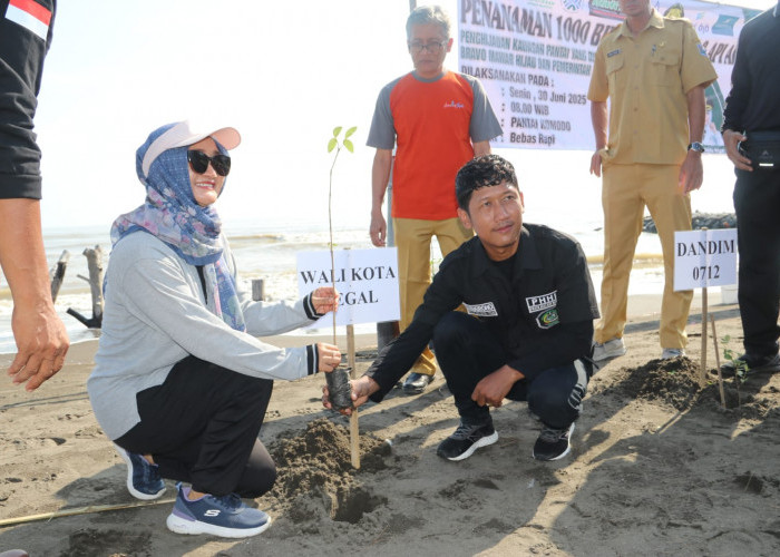 Cegah Abrasi Makin Parah, Pemkot dan Warga Tanam Pohon di Pantai Komodo Tegal
