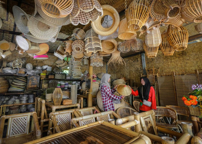 Penyaluran KUR BRI 2026 Hingga Februari Tembus Rp31,42 Triliun, Menjangkau 643 Ribu UMKM 