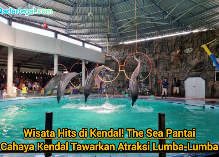 Wisata Hits di Kendal! The Sea Pantai Cahaya Kendal Tawarkan Atraksi Lumba-Lumba hingga Sunset Romantis