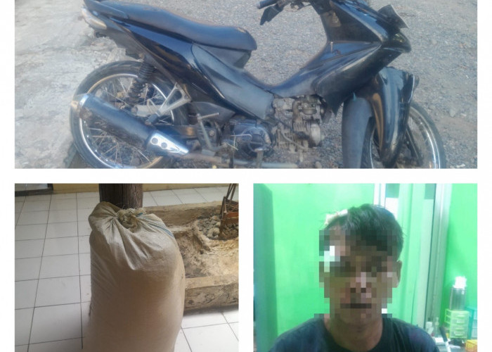 Aksi Pencurian Gabah di Ricemill Tegal Ketahuan Lewat CCTV
