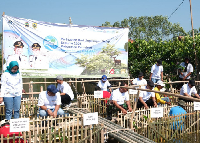 Hari Lingkungan Hidup Sedunia 2026, Pemkab Pemalang Tanam 3.000 Bibit Mangrove di Ulujami