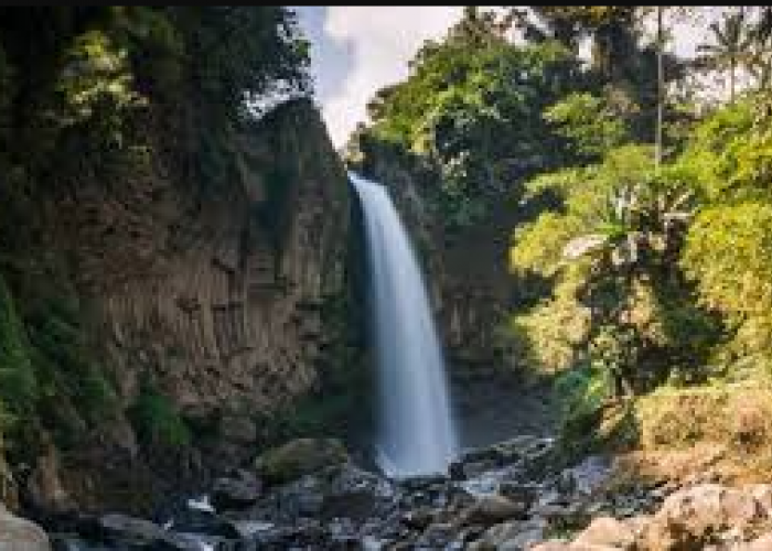 5 Wisata Air Terjun di Brebes yang Jadi Surga Tersembunyi di Jawa Tengah