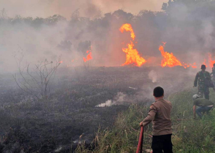 Lahan 8.000 Meter Persegi di Tarub Tegal Terbakar, Warga dan Petugas Gercep Lakukan Ini